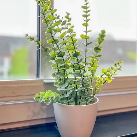 Baltischer Hof 47 Apartmán Boltenhagen (Ostseebad)