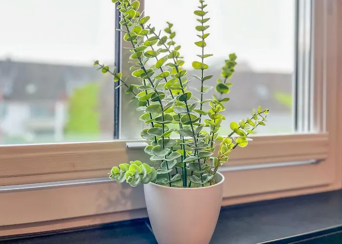 Baltischer Hof 47 Apartman Boltenhagen